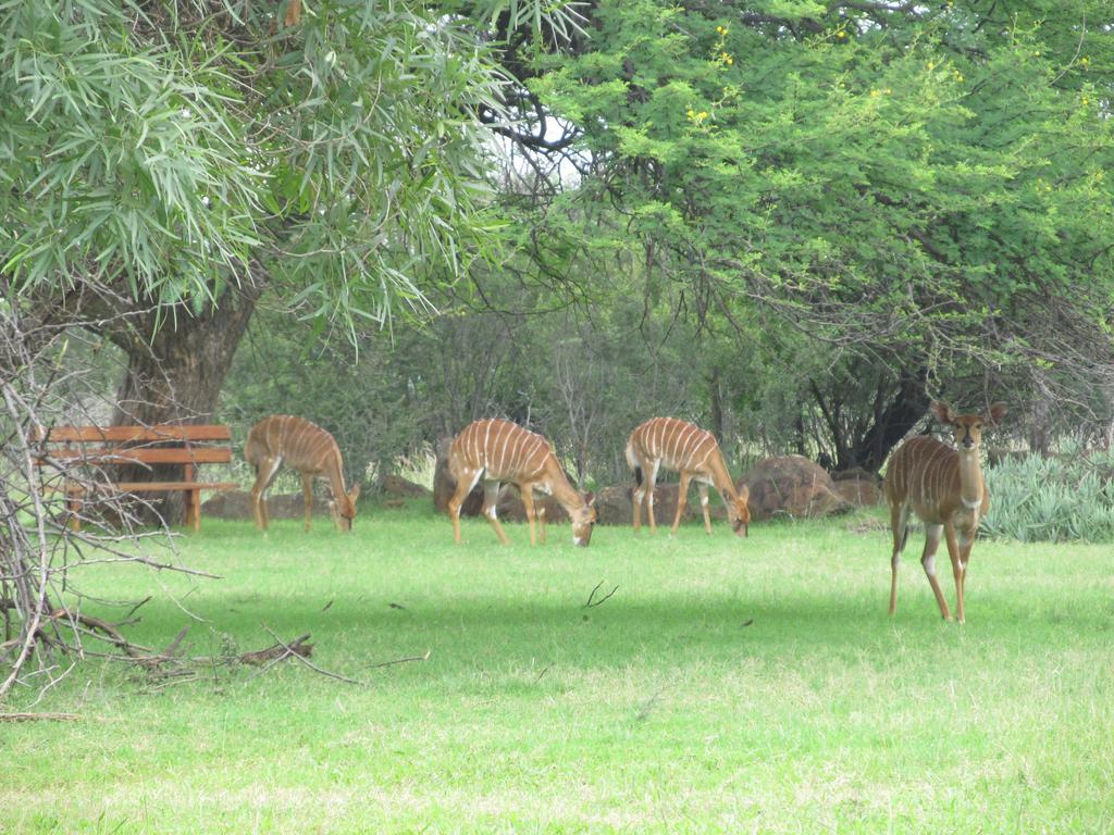 Boubou Bed And Breakfast Rustenburg Exterior photo